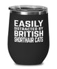 Funny Cat Wine Tumbler Easily Distracted By British Shorthair Cats Stemless Wine Glass 12oz Stainless Steel