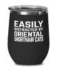 Funny Cat Wine Tumbler Easily Distracted By Oriental Shorthair Cats Stemless Wine Glass 12oz Stainless Steel