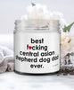 Funny Central Asian Shepherd Dog Candle B3st F-cking Central Asian Shepherd Dog Dad Ever 9oz Vanilla Scented Candles Soy Wax