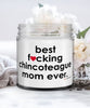 Funny Chincoteague Horse Candle B3st F-cking Chincoteague Mom Ever 9oz Vanilla Scented Candles Soy Wax