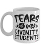 Funny Divinity Professor Teacher Mug Tears Of My Divinity Students Coffee Cup White