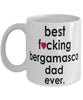 Funny Dog Mug B3st F-cking Bergamasco Dad Ever Coffee Mug White