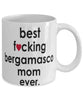 Funny Dog Mug B3st F-cking Bergamasco Mom Ever Coffee Mug White