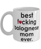 Funny Dog Mug B3st F-cking Bolognese Mom Ever Coffee Mug White