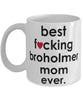 Funny Dog Mug B3st F-cking Broholmer Mom Ever Coffee Mug White