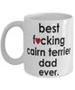 Funny Dog Mug B3st F-cking Cairn Terrier Dad Ever Coffee Mug White