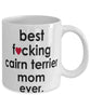 Funny Dog Mug B3st F-cking Cairn Terrier Mom Ever Coffee Mug White