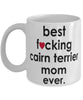 Funny Dog Mug B3st F-cking Cairn Terrier Mom Ever Coffee Mug White