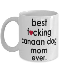 Funny Dog Mug B3st F-cking Canaan Dog Mom Ever Coffee Mug White