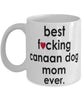 Funny Dog Mug B3st F-cking Canaan Dog Mom Ever Coffee Mug White