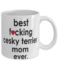 Funny Dog Mug B3st F-cking Cesky Terrier Mom Ever Coffee Mug White