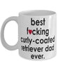 Funny Dog Mug B3st F-cking Curly-Coated Retriever Dad Ever Coffee Mug White