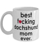 Funny Dog Mug B3st F-cking Dachshund Mom Ever Coffee Mug White