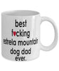 Funny Dog Mug B3st F-cking Estrela Mountain Dog Dad Ever Coffee Mug White