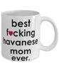 Funny Dog Mug B3st F-cking Havanese Mom Ever Coffee Mug White