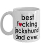 Funny Dog Mug B3st F-cking Jackshund Dad Ever Coffee Cup White