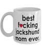Funny Dog Mug B3st F-cking Jackshund Mom Ever Coffee Cup White