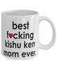 Funny Dog Mug B3st F-cking Kishu Ken Mom Ever Coffee Mug White