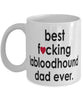 Funny Dog Mug B3st F-cking Labloodhound Dad Ever Coffee Cup White