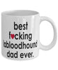 Funny Dog Mug B3st F-cking Labloodhound Dad Ever Coffee Cup White