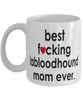 Funny Dog Mug B3st F-cking Labloodhound Mom Ever Coffee Cup White