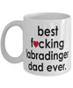 Funny Dog Mug B3st F-cking Labradinger Dad Ever Coffee Cup White