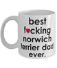 Funny Dog Mug B3st F-cking Norwich Terrier Dad Ever Coffee Mug White