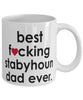 Funny Dog Mug B3st F-cking Stabyhoun Dad Ever Coffee Cup White