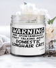 Funny Domestic Longhair Cat Candle Warning May Spontaneously Start Talking About Domestic Longhair Cats 9oz Vanilla Scented Candles Soy Wax