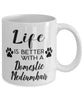 Funny Domestic Mediumhair Cat Mug Life Is Better With A Domestic Mediumhair Coffee Cup 11oz 15oz White