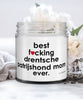Funny Drentsche Patrijshond Dog Candle B3st F-cking Drentsche Patrijshond Mom Ever 9oz Vanilla Scented Candles Soy Wax