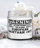 Funny European Shorthair Cat Candle Warning May Spontaneously Start Talking About European Shorthair Cats 9oz Vanilla Scented Candles Soy Wax