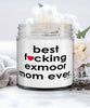 Funny Exmoor Horse Candle B3st F-cking Exmoor Mom Ever 9oz Vanilla Scented Candles Soy Wax