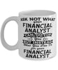 Funny Financial Analyst Mug Ask Not What Your Financial Analyst Can Do For You Coffee Cup 11oz 15oz White