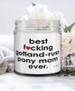 Funny Gotland-Russ Pony Candle B3st F-cking Gotland-Russ Pony Mom Ever 9oz Vanilla Scented Candles Soy Wax