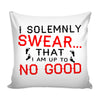 Funny Graphic Pillow Cover I Solemnly Swear That I Am Up To No Good