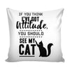 Funny Graphic Pillow Cover If You Think Ive Got Attitude You Should See My Cat