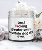Funny Greater Swiss Mountain Dog Candle B3st F-cking Greater Swiss Mountain Dog Dad Ever 9oz Vanilla Scented Candles Soy Wax