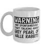 Funny Grey Pearl of Halle Rabbit Mug May Spontaneously Start Talking About Grey Pearl of Halle Rabbits Coffee Cup White
