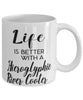 Funny Hieroglyphic River Cooter Turtle Mug Life Is Better With A Hieroglyphic River Cooter Coffee Cup 11oz 15oz White