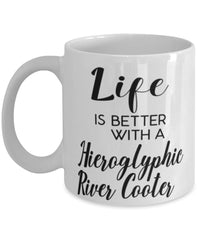 Funny Hieroglyphic River Cooter Turtle Mug Life Is Better With A Hieroglyphic River Cooter Coffee Cup 11oz 15oz White