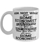 Funny Home Economist Mug Ask Not What Your Home Economist Can Do For You Coffee Cup 11oz 15oz White