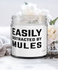 Funny Horse Candle Easily Distracted By Mules 9oz Vanilla Scented Candles Soy Wax