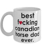 Funny Horse Mug B3st F-cking Canadian Horse Dad Ever Coffee Cup White