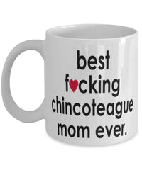 Funny Horse Mug B3st F-cking Chincoteague Mom Ever Coffee Cup White