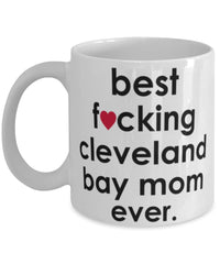 Funny Horse Mug B3st F-cking Cleveland Bay Mom Ever Coffee Cup White