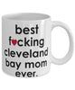 Funny Horse Mug B3st F-cking Cleveland Bay Mom Ever Coffee Cup White