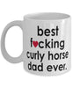 Funny Horse Mug B3st F-cking Curly Horse Dad Ever Coffee Cup White