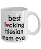 Funny Horse Mug B3st F-cking Friesian Mom Ever Coffee Cup White