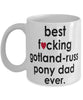 Funny Horse Mug B3st F-cking Gotland-Russ Pony Dad Ever Coffee Cup White